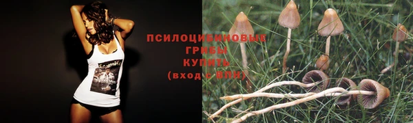 первитин Абинск