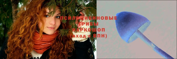 первитин Абинск
