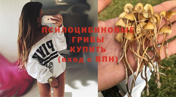 apvp Абаза