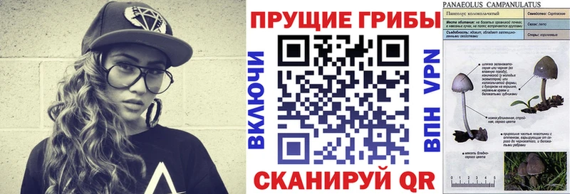 закладки  Хилок  Псилоцибиновые грибы прущие грибы 